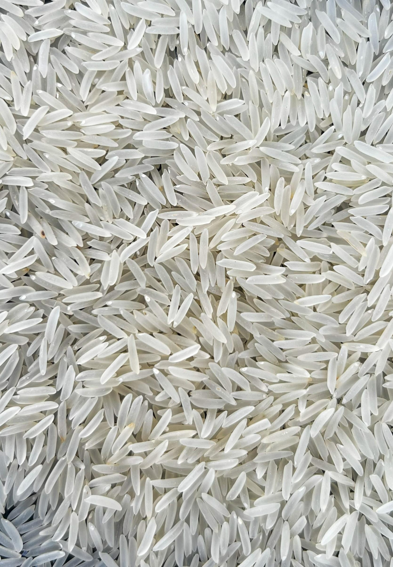 1121 Basmati Rice (Sella) — export grade from AmarBharat Exim