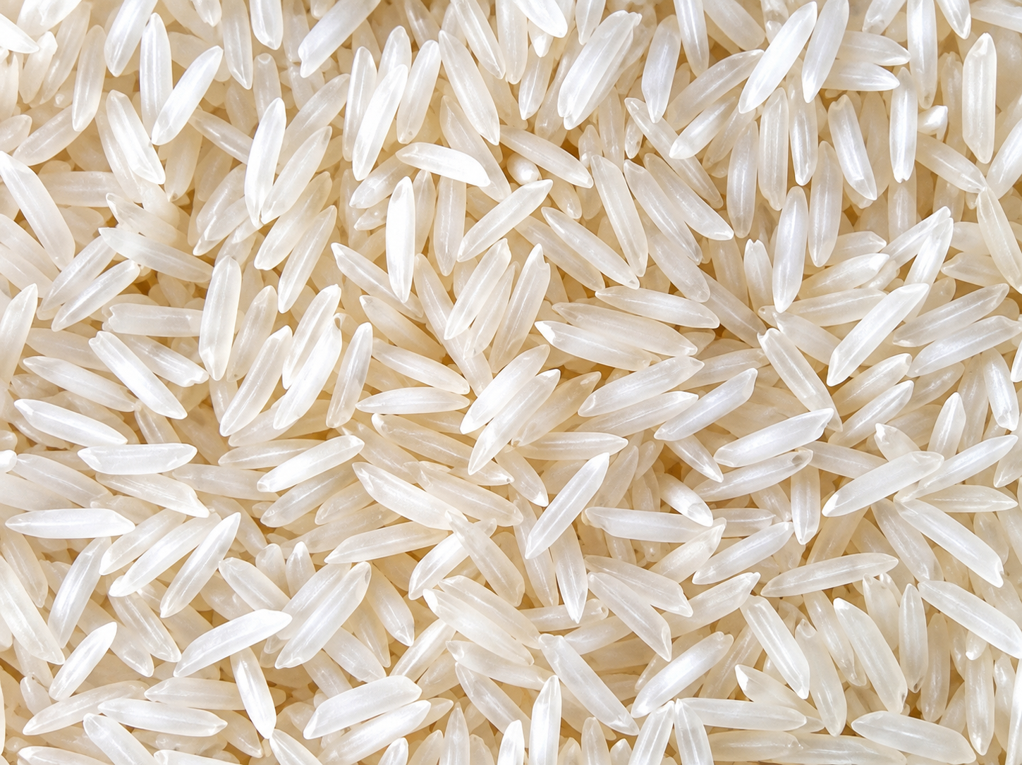 1121 Basmati Rice (Sella) — export photo 4
