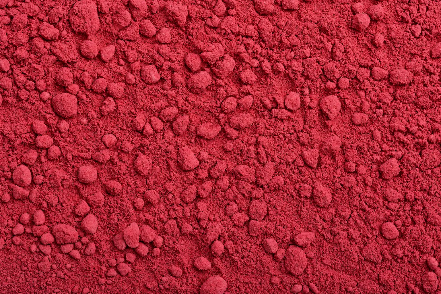 Beetroot Powder — export photo 6