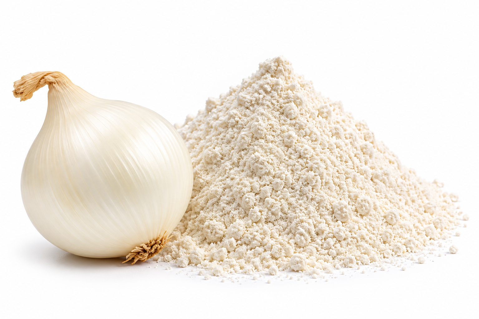 Dehydrated White Onion Powder — export photo 3