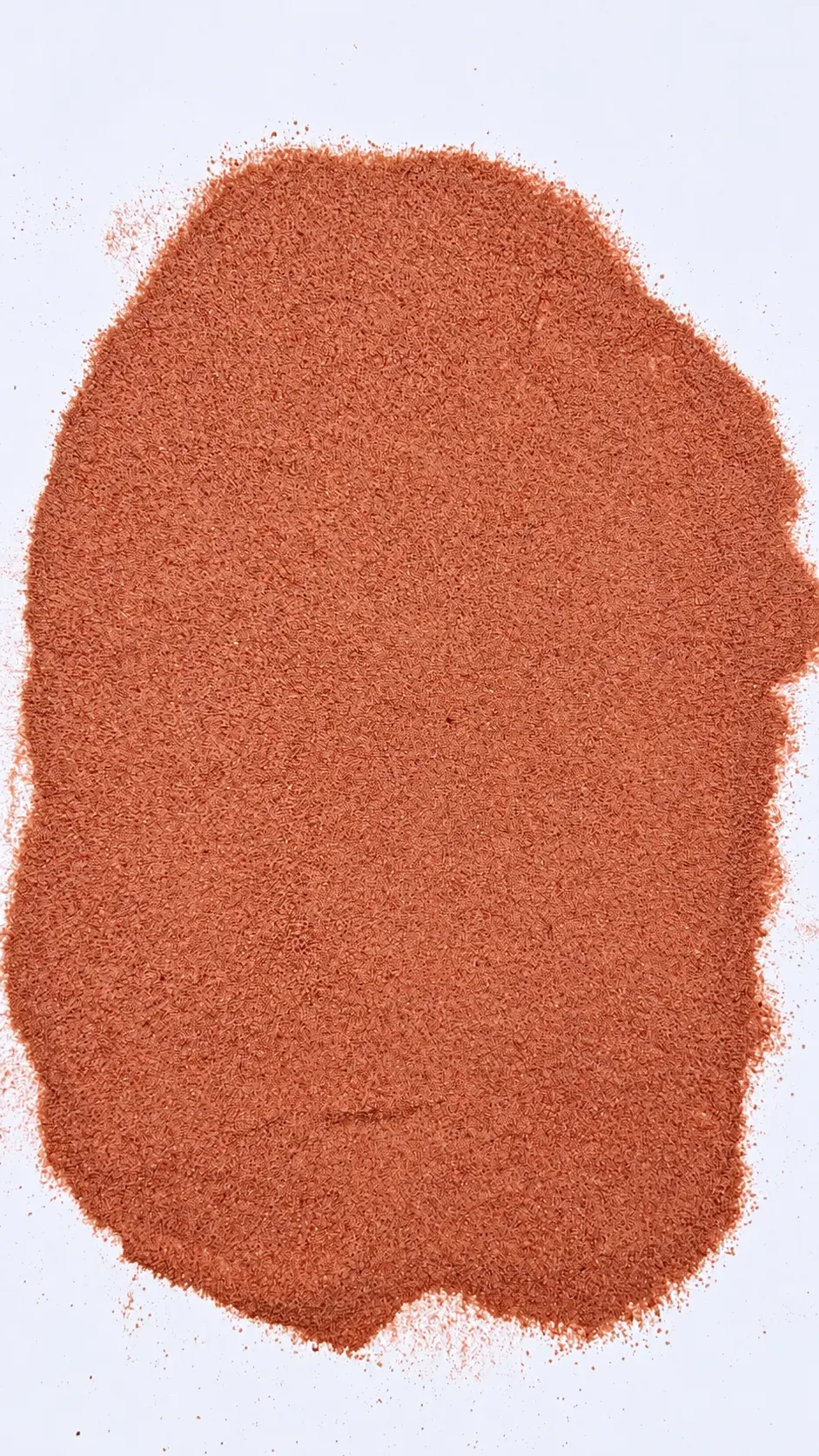 Dehydrated Red Onion Powder — export photo 4