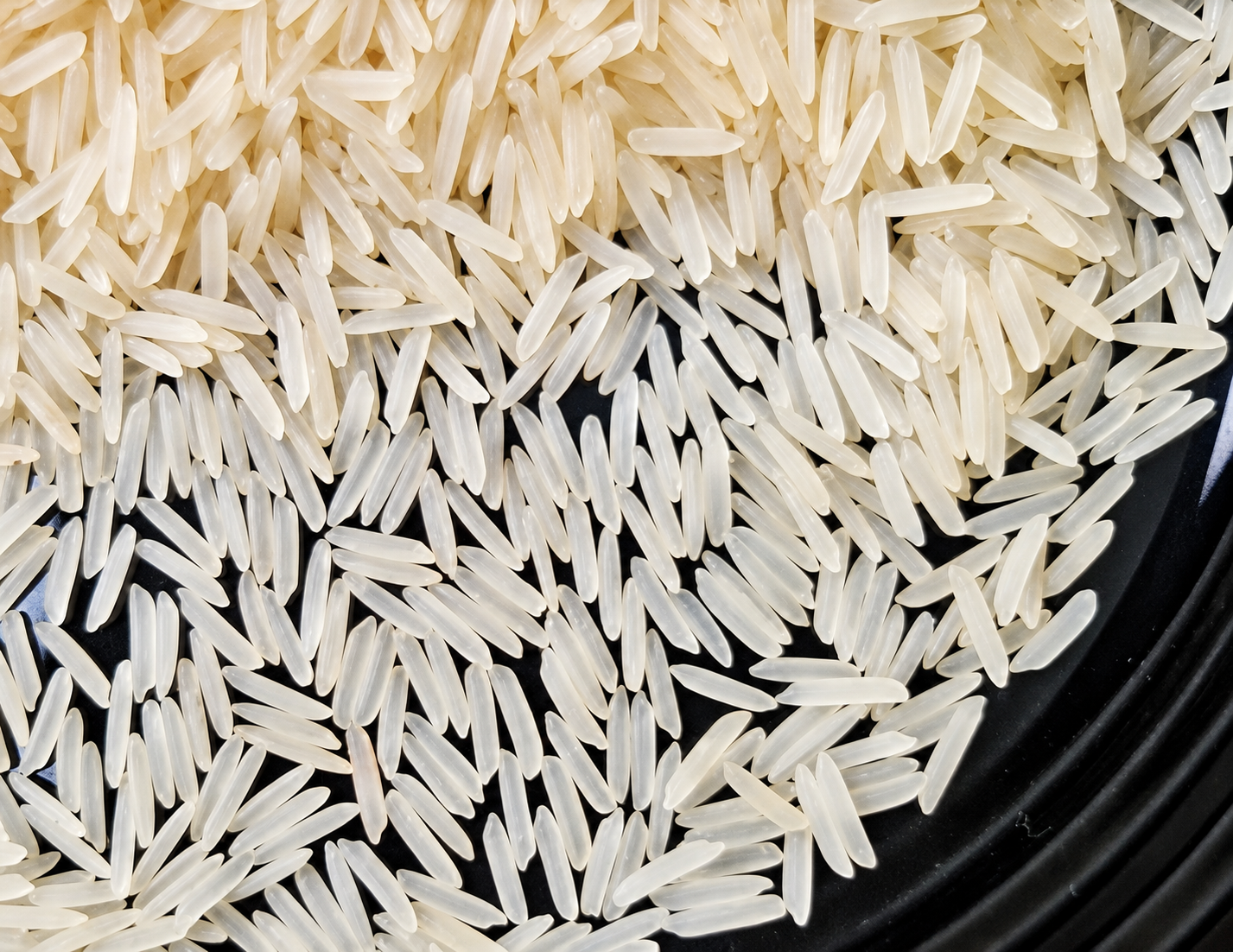 1121 Basmati Rice (Sella) — export photo 2