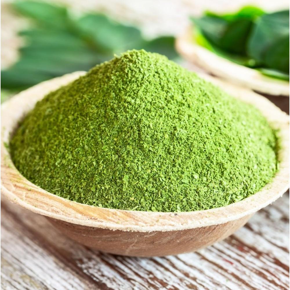 Moringa Powder — export photo 6