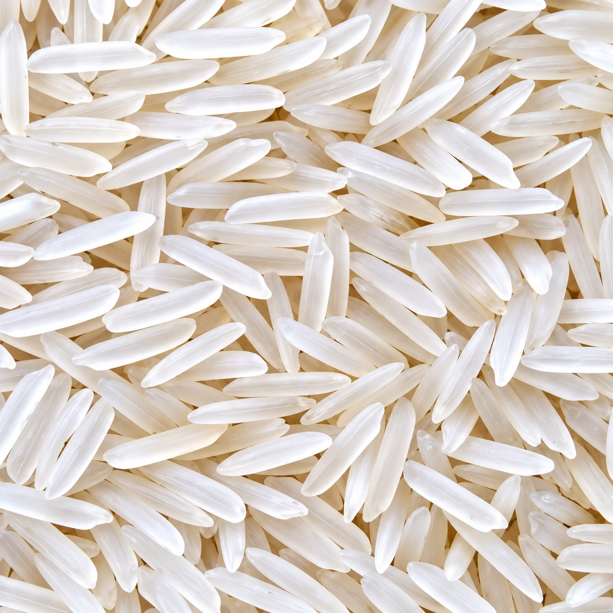 1121 Basmati Rice (Sella) — export photo 5